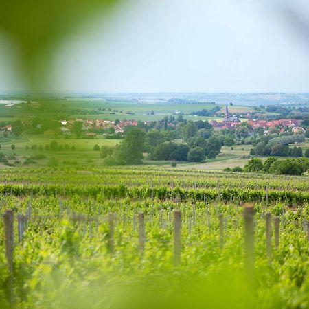 Weingut Schilling Hotel Seinsheim Exterior photo