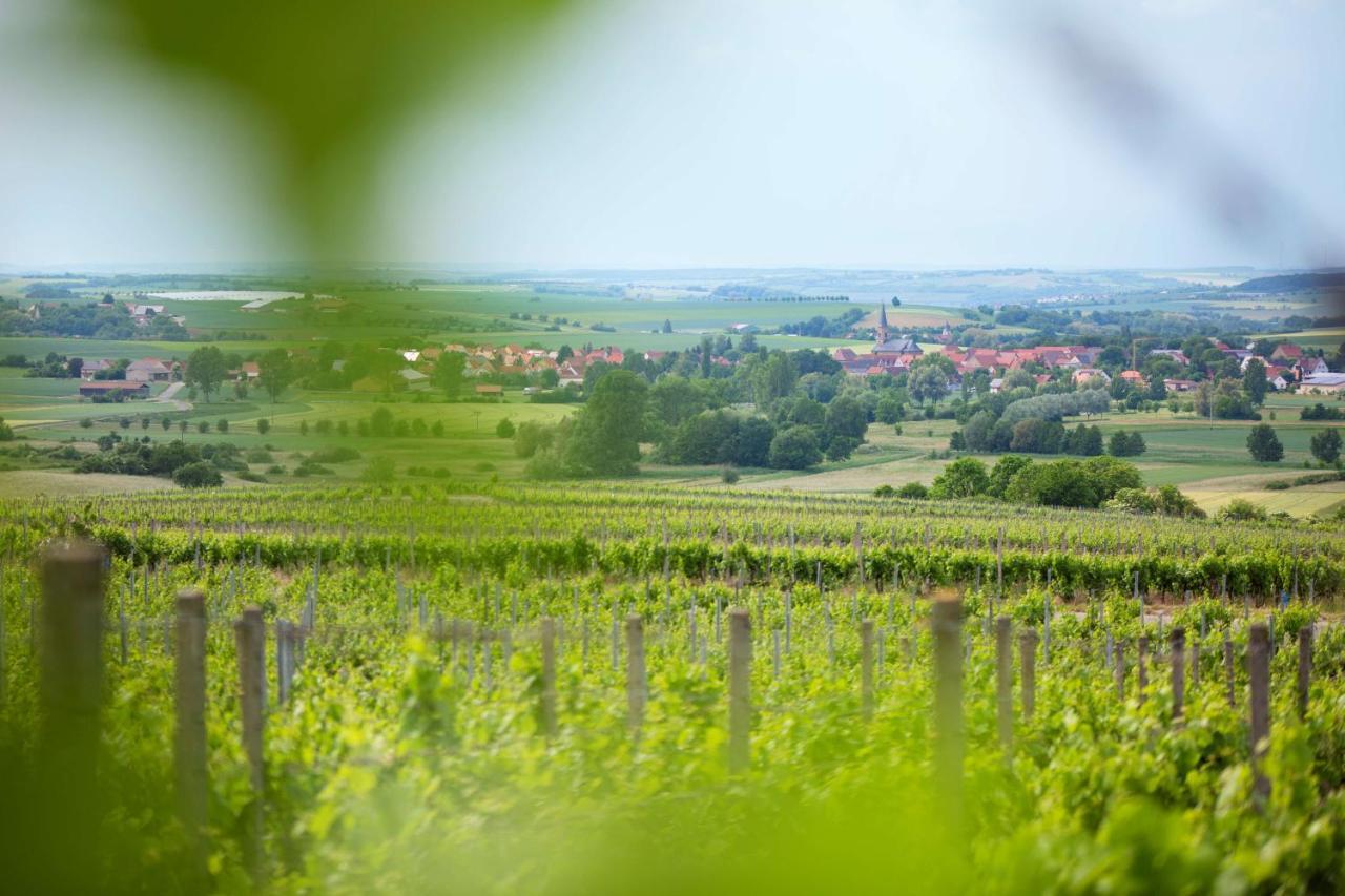 Weingut Schilling Hotel Seinsheim Exterior photo